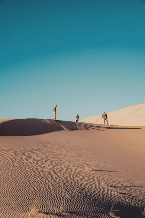 Desert Dunes Phone Wallpaper · vertical · 1440×2160