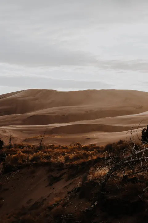Desert Dunes Phone Wallpaper · vertical · 1440×2160