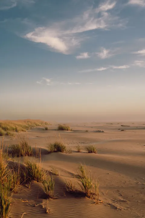 Desert Dunes Phone Wallpaper · vertical · 1440×2164