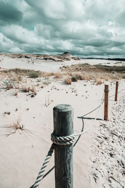 Desert Dunes Phone Wallpaper · vertical · 1440×2164