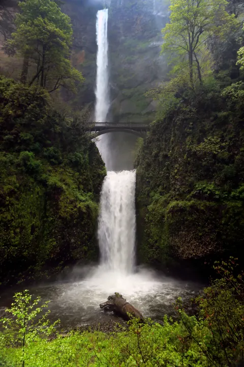 Tall Waterfall Phone Wallpaper · vertical · 1440×2160