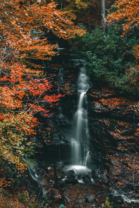 Tall Waterfall Phone Wallpaper · vertical · 1440×2157