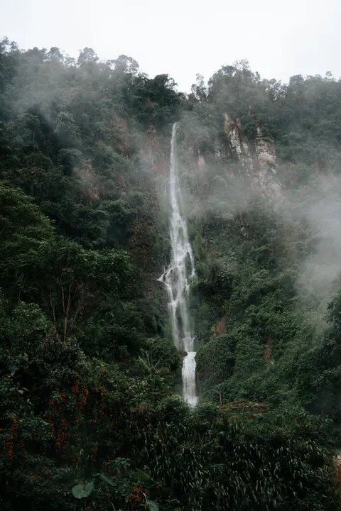 Tall Waterfall Phone Wallpaper · vertical · 1440×2160