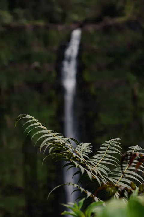 Tall Waterfall Phone Wallpaper · vertical · 1440×2160