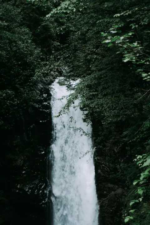 Tall Waterfall Phone Wallpaper · vertical · 1440×2160