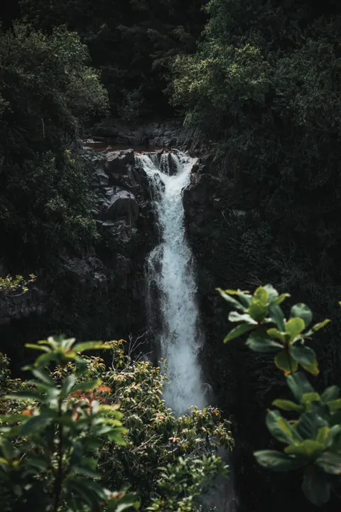 Tall Waterfall Phone Wallpaper · vertical · 1440×2160