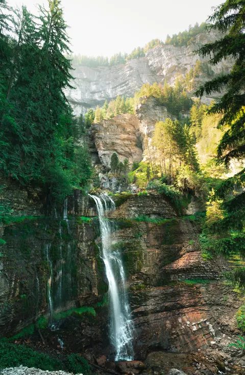 Tall Waterfall Phone Wallpaper · vertical · 1440×2206