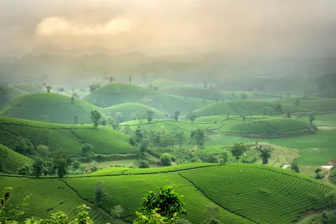 Wallpaper Bukit Hijau 4K · nature · 3840×2560
