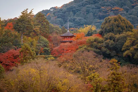 Japanese Pagoda 4K Wallpaper · architecture · 3840×2560