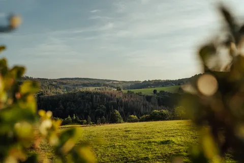 Wallpaper Bukit Hijau 4K · nature · 3840×2560