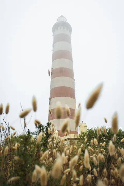 Lighthouse Phone Wallpaper · vertical · 1440×2161