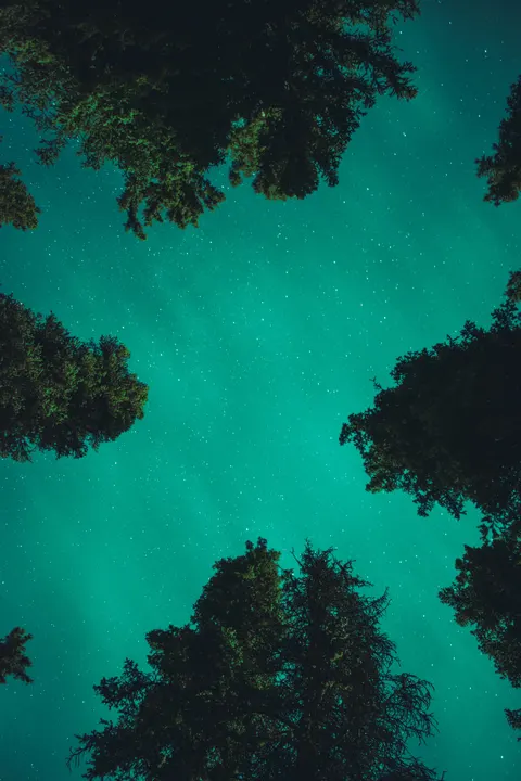 Aurora Phone Wallpaper · vertical · 1440×2160