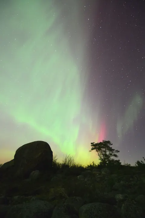 Aurora Phone Wallpaper · vertical · 1440×2158