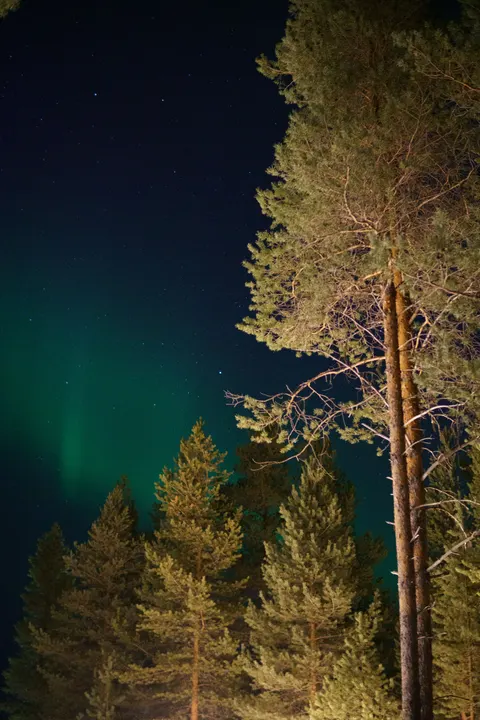 Aurora Phone Wallpaper · vertical · 1440×2160