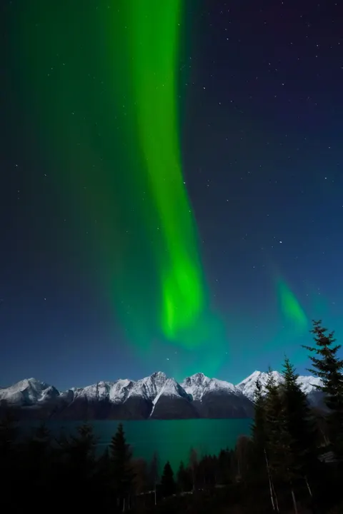Aurora Phone Wallpaper · vertical · 1440×2160
