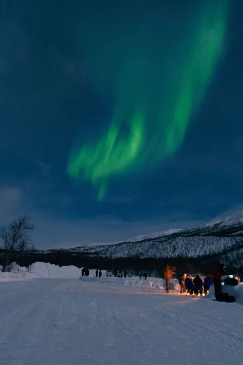 Aurora Phone Wallpaper · vertical · 1440×2160