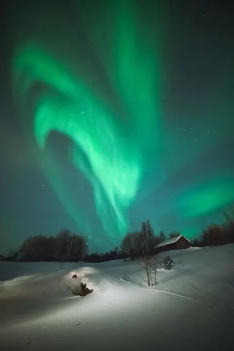 Aurora Phone Wallpaper · vertical · 1440×2159