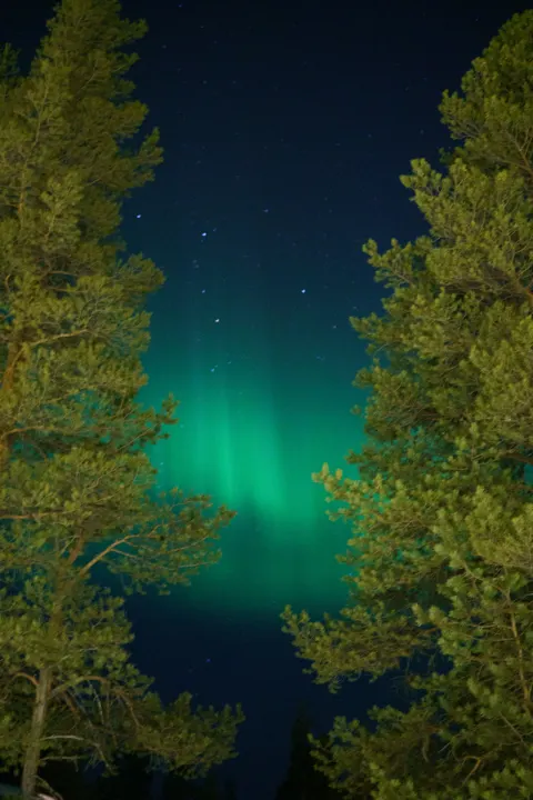 Aurora Phone Wallpaper · vertical · 1440×2160