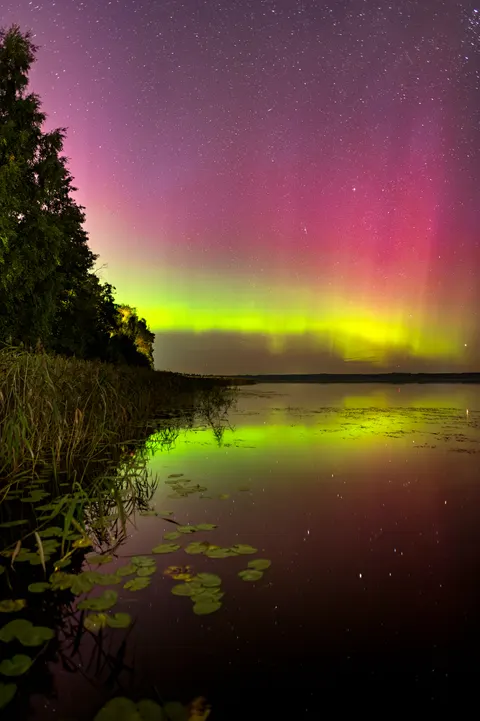 Aurora Phone Wallpaper · vertical · 1440×2164