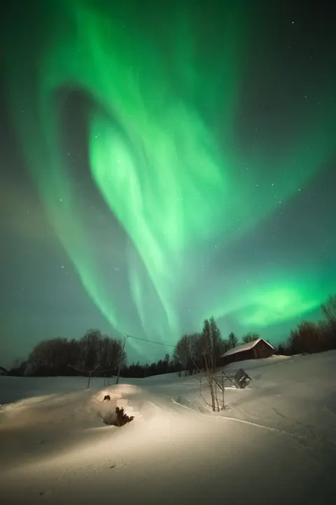 Aurora Phone Wallpaper · vertical · 1440×2159