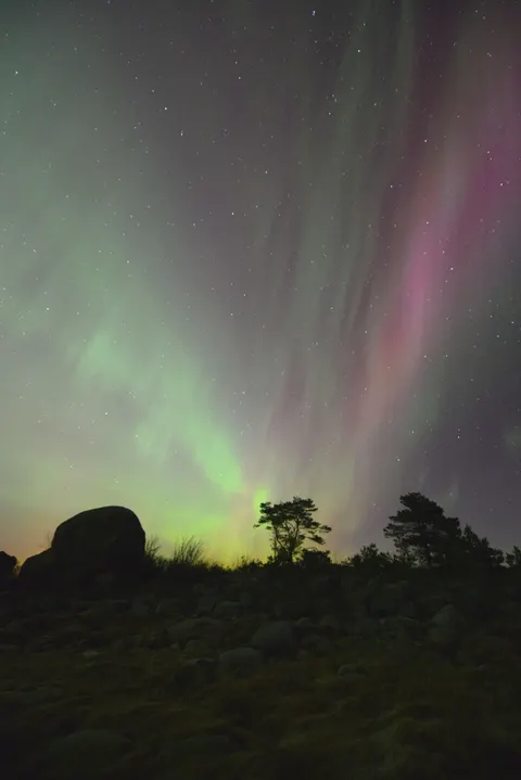 Aurora Phone Wallpaper · vertical · 1440×2158