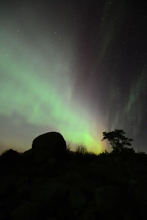 Aurora Phone Wallpaper · vertical · 1440×2158