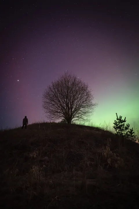 Aurora Phone Wallpaper · vertical · 1440×2160