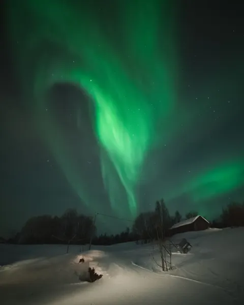 Aurora Phone Wallpaper · vertical · 1440×1800