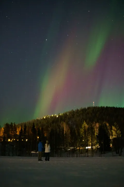 Aurora Phone Wallpaper · vertical · 1440×2160