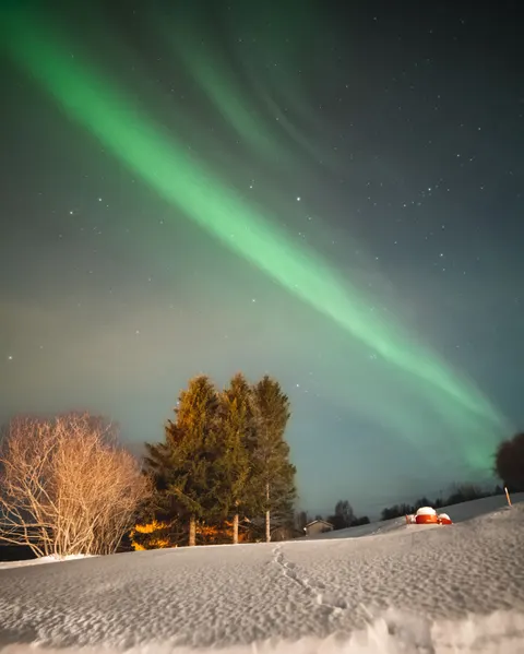 Aurora Phone Wallpaper · vertical · 1440×1800