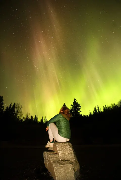 Aurora Phone Wallpaper · vertical · 1440×2136