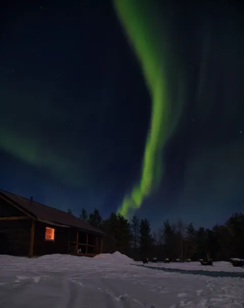 Aurora Phone Wallpaper · vertical · 1440×1811