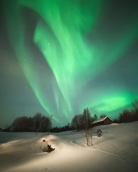 Aurora Phone Wallpaper · vertical · 1440×1800