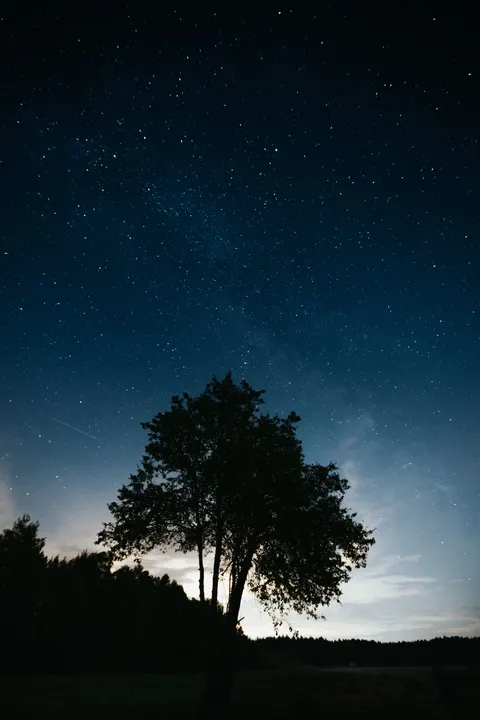 Aurora Phone Wallpaper · vertical · 1440×2160