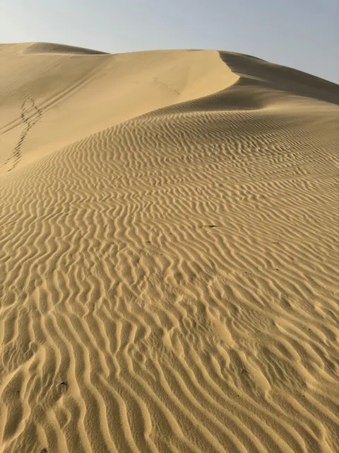 Desert Dunes Phone Wallpaper · vertical · 1440×1920
