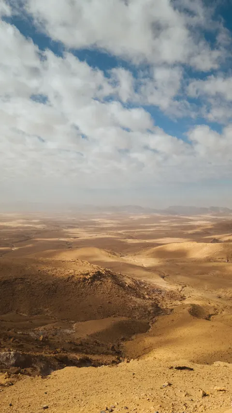 Desert Dunes Phone Wallpaper · vertical · 1440×2559