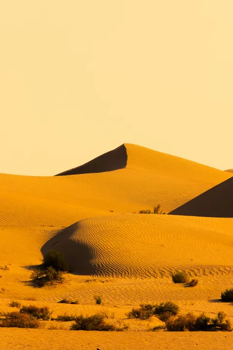Desert Dunes Phone Wallpaper · vertical · 1440×2160