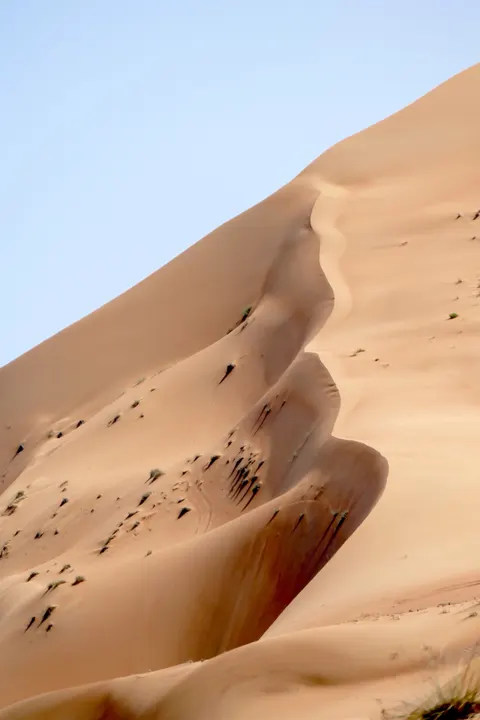 Desert Dunes Phone Wallpaper · vertical · 1440×2160