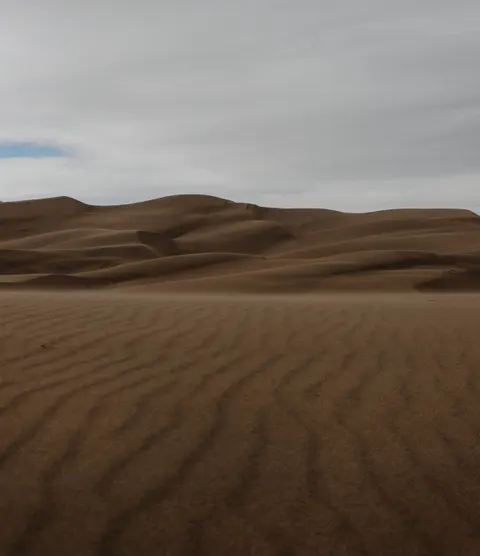 Desert Dunes Phone Wallpaper · vertical · 1440×1669