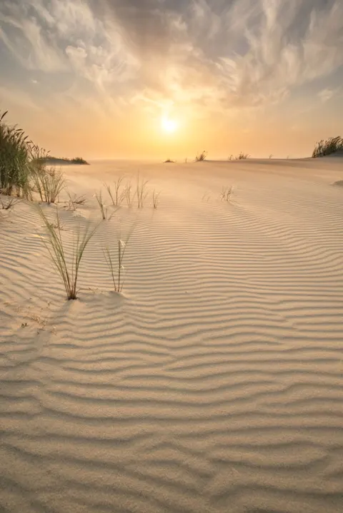 Desert Dunes Phone Wallpaper · vertical · 1440×2158
