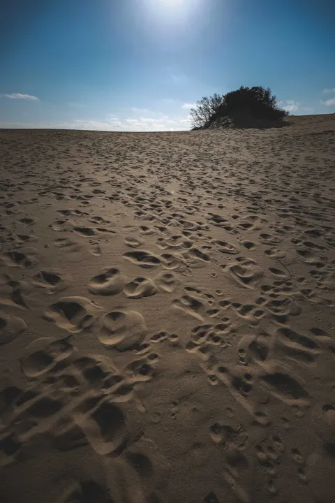Desert Dunes Phone Wallpaper · vertical · 1440×2160