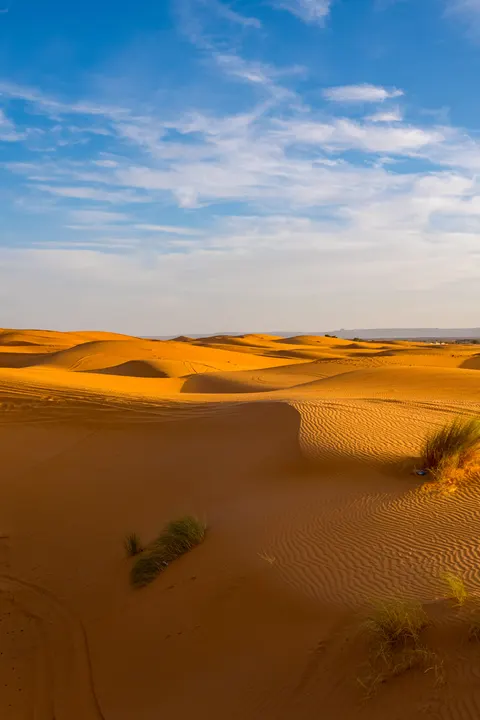 Desert Dunes Phone Wallpaper · vertical · 1440×2160