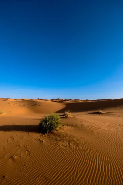 Desert Dunes Phone Wallpaper · vertical · 1440×2160