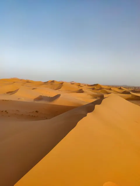 Desert Dunes Phone Wallpaper · vertical · 1440×1920