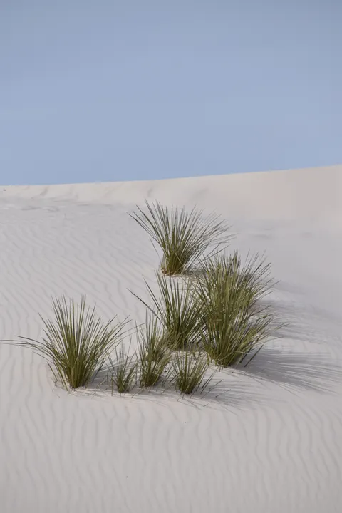 Desert Dunes Phone Wallpaper · vertical · 1440×2160