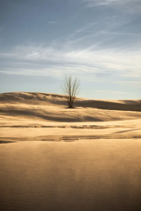 Desert Dunes Phone Wallpaper · vertical · 1440×2160