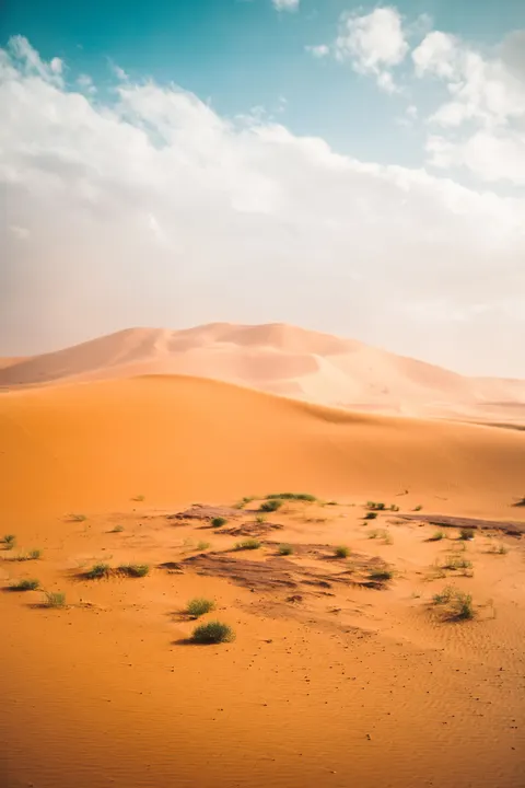 Desert Dunes Phone Wallpaper · vertical · 1440×2160