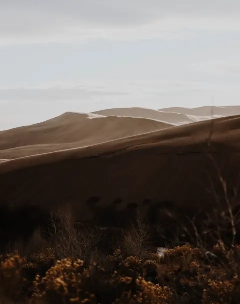 Desert Dunes Phone Wallpaper · vertical · 1440×1820