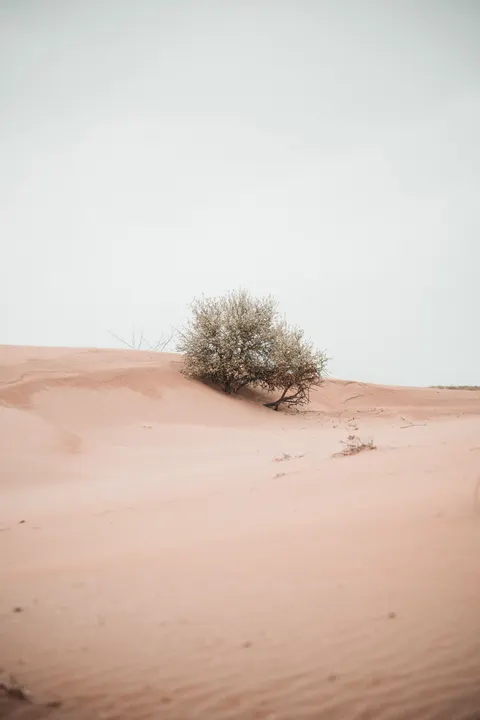 Desert Dunes Phone Wallpaper · vertical · 1440×2160