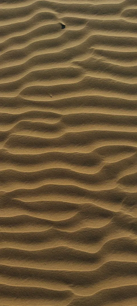 Desert Dunes Phone Wallpaper · vertical · 1440×3200
